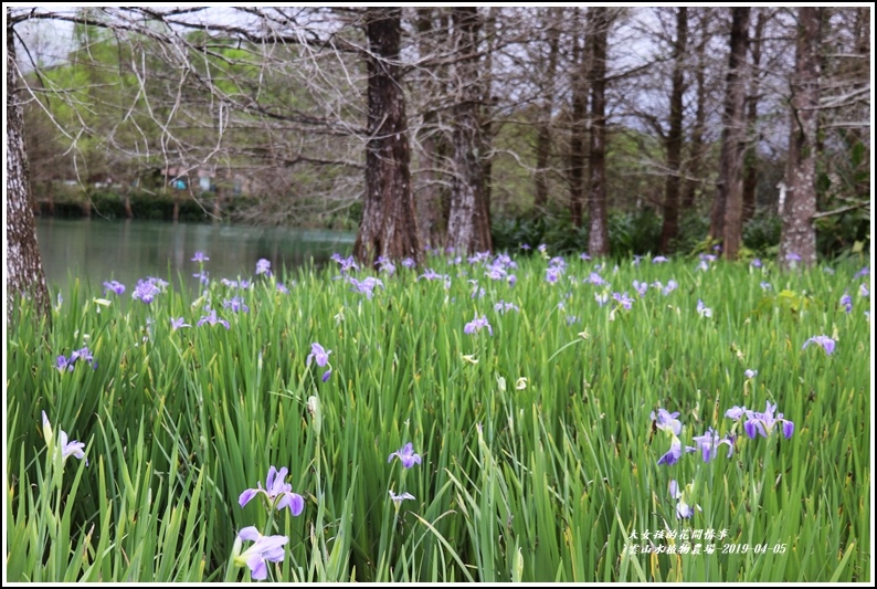 雲山水植物農場-2019-04-22.jpg