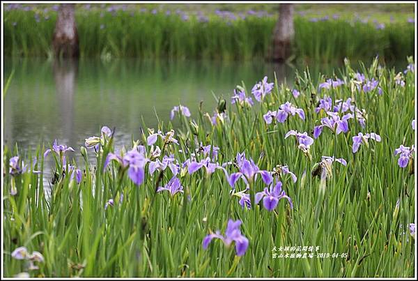雲山水植物農場-2019-04-26.jpg