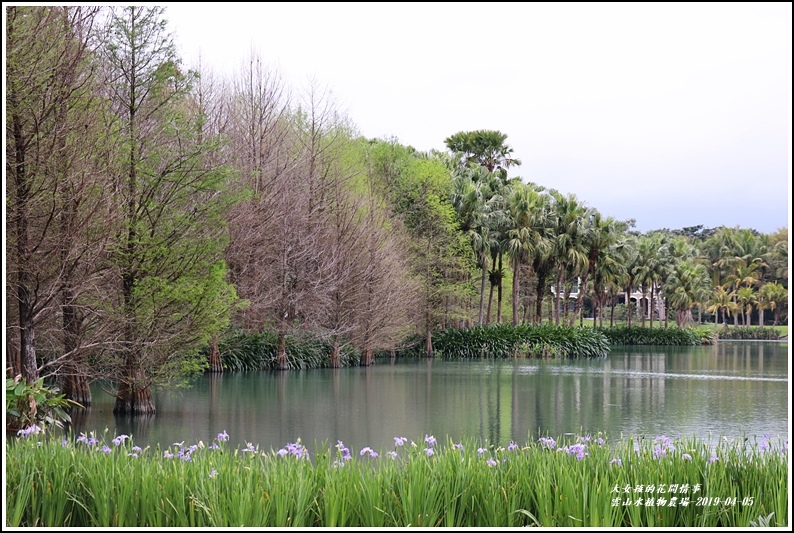 雲山水植物農場-2019-04-28.jpg