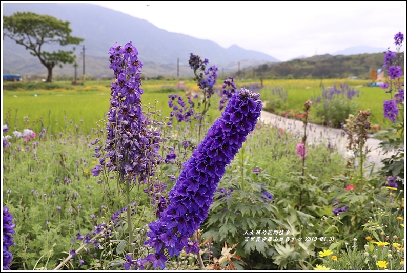 羅山農會羅山展售中心-2019-03-37.jpg