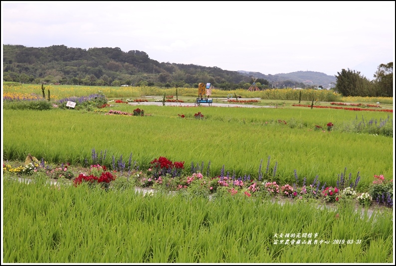 羅山農會羅山展售中心-2019-03-50.jpg