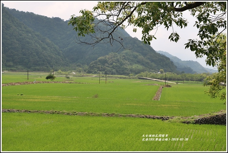 花蓮193(樂德公路)-2019-03-02.jpg