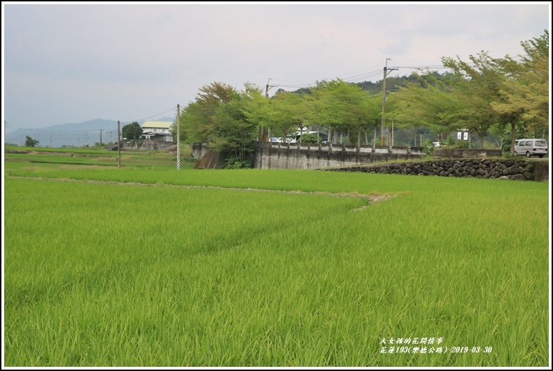 花蓮193(樂德公路)-2019-03-23.jpg