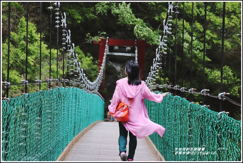 白楊步道(白楊吊橋)-2019-04-16.jpg