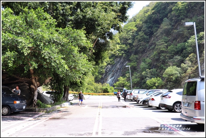 白楊步道-2019-04-01.jpg