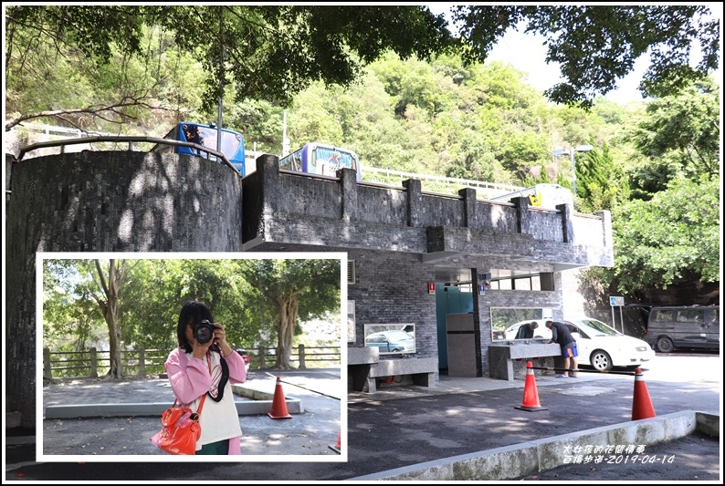 白楊步道-2019-04-03.jpg