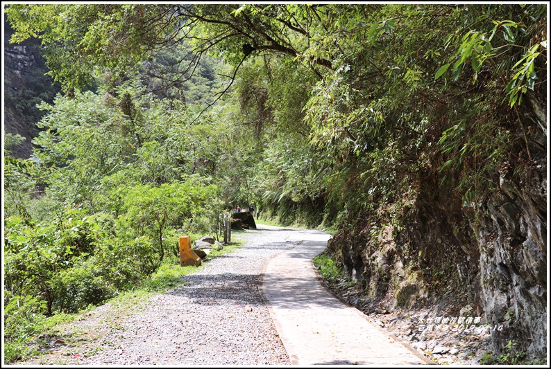 白楊步道-2019-04-15.jpg