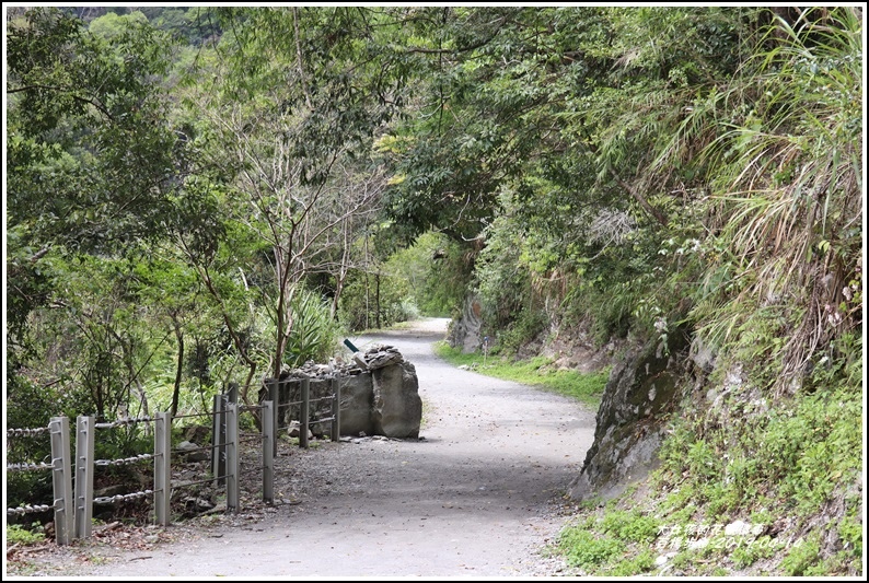 白楊步道-2019-04-26.jpg