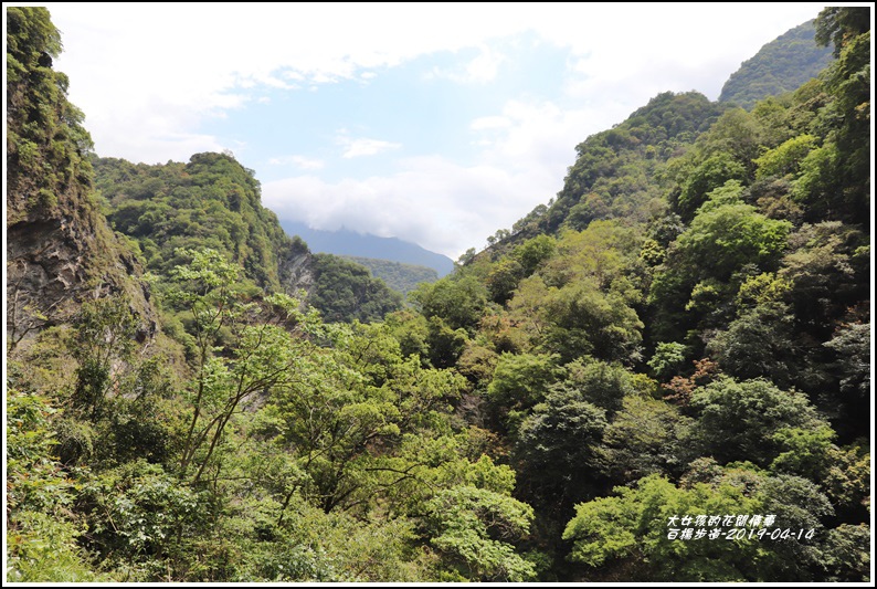 白楊步道-2019-04-29.jpg