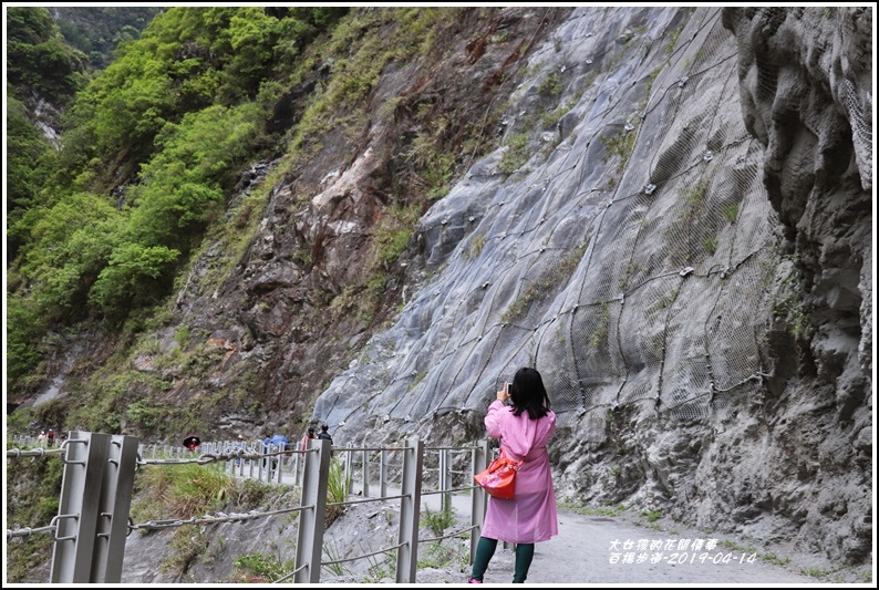 白楊步道-2019-04-32.jpg