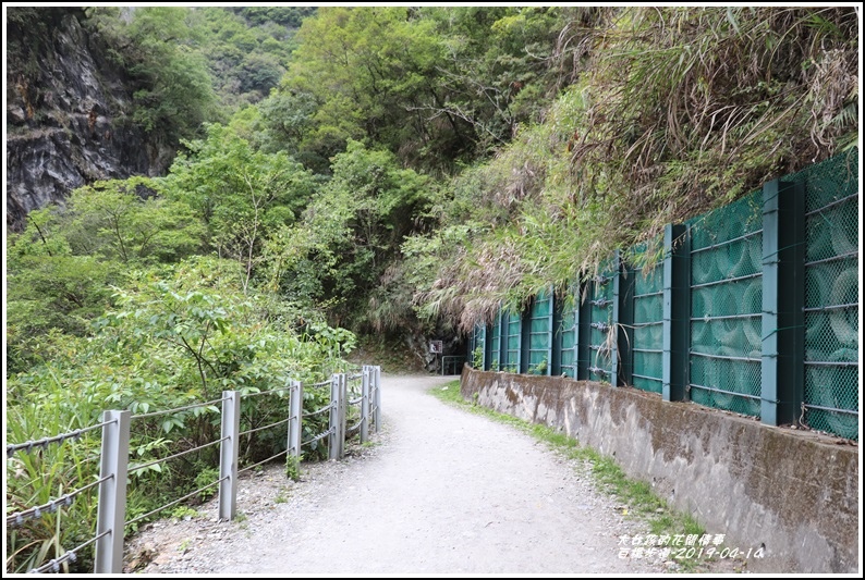 白楊步道-2019-04-38.jpg