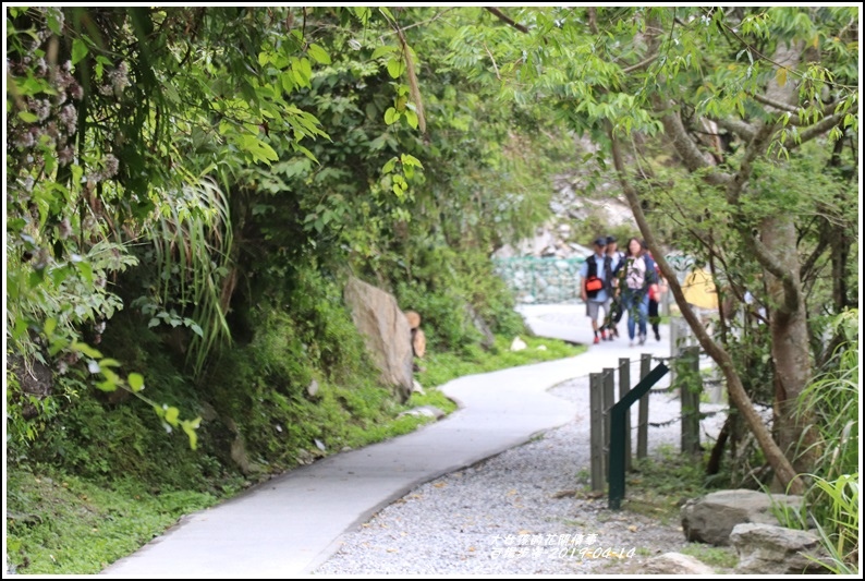 白楊步道-2019-04-55.jpg