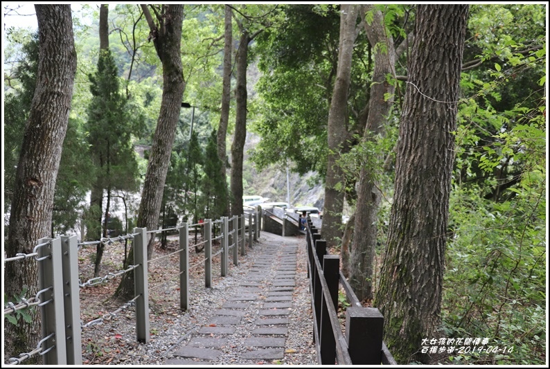 白楊步道-2019-04-60.jpg