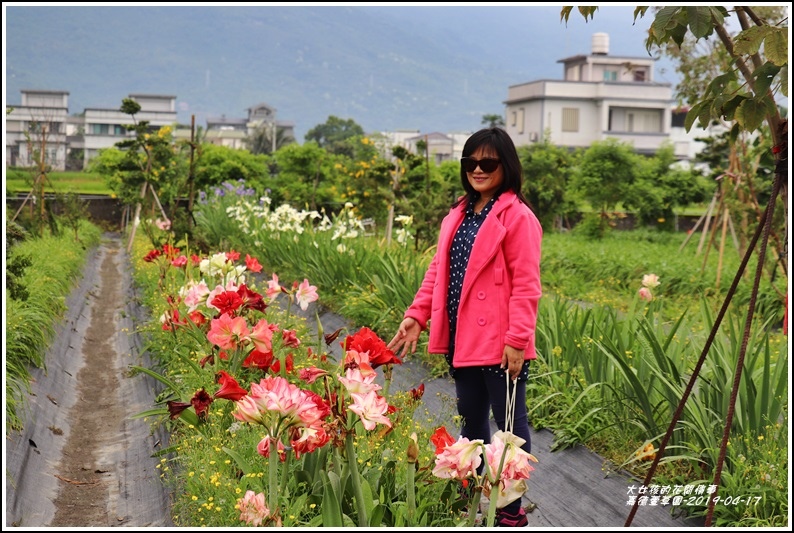 嘉德萱草園-2019-04-08.jpg