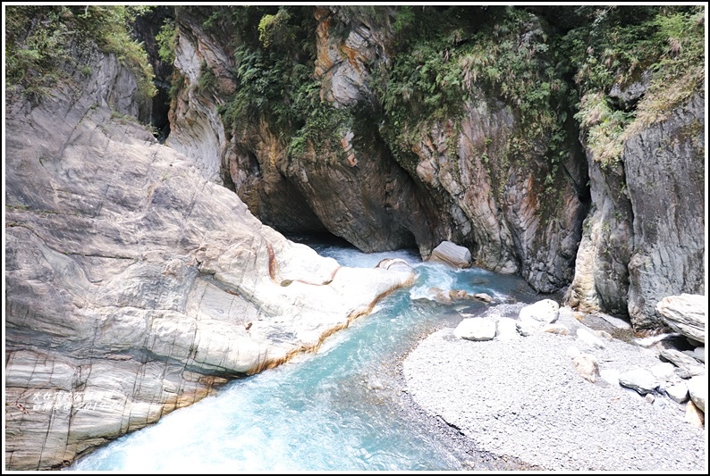 白楊步道-2019-04-62.jpg