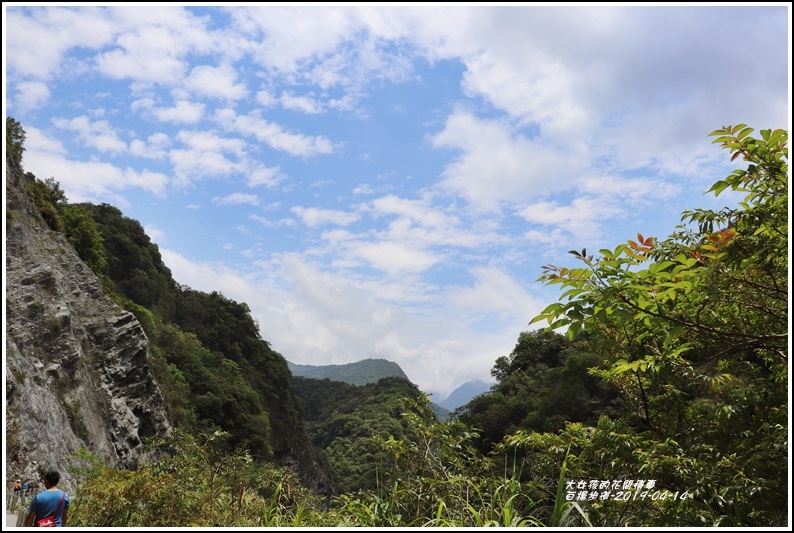 白楊步道-2019-04-64.jpg