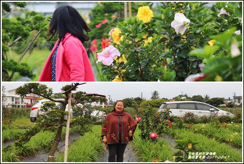 嘉德萱草園-2019-04-89.jpg