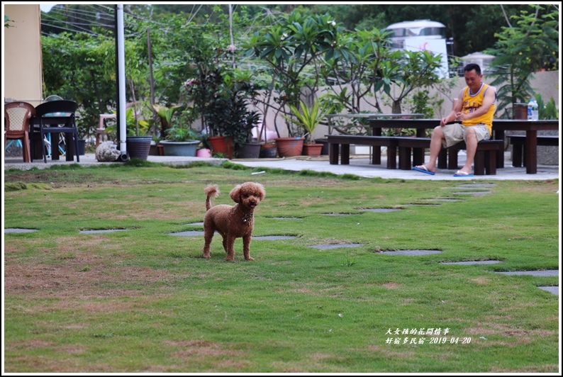 好宿多民宿(親寵)-2019-04-13.jpg 好宿多民宿(親寵)-2019-04-13.jpg
