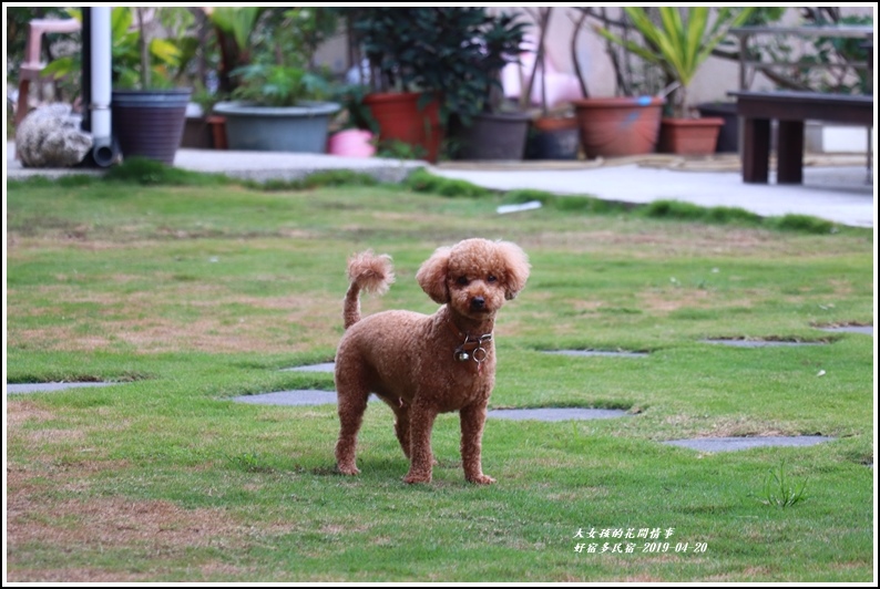 好宿多民宿(親寵)-2019-04-14.jpg 好宿多民宿(親寵)-2019-04-14.jpg
