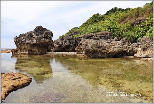 衫福生態廊道(潮間帶)-2019-04-17.jpg