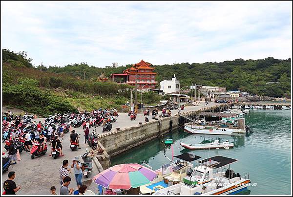 衫福生態廊道(潮間帶)-2019-04-46.jpg