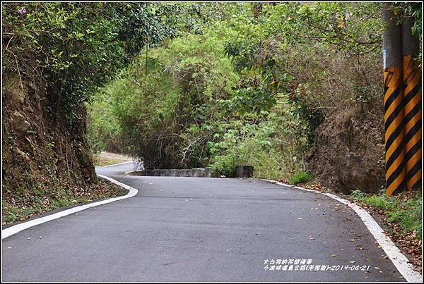 小琉球環島公路(老榕樹)-2019-04-07.jpg