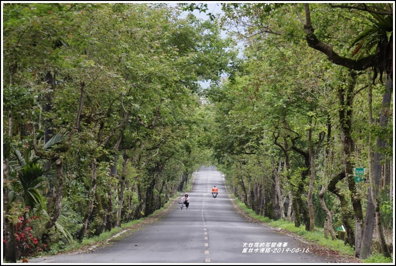 鳳林水源路-2019-04-02.jpg