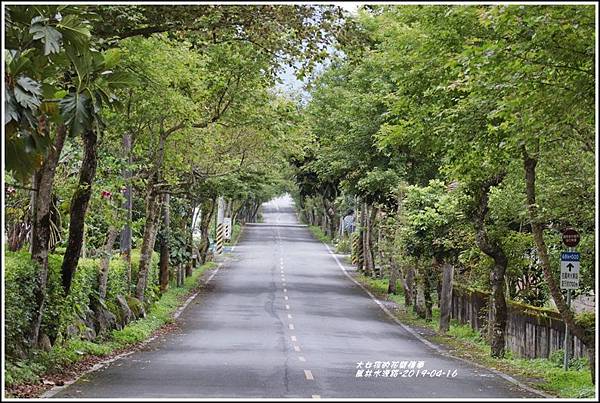 鳳林水源路-2019-04-04.jpg