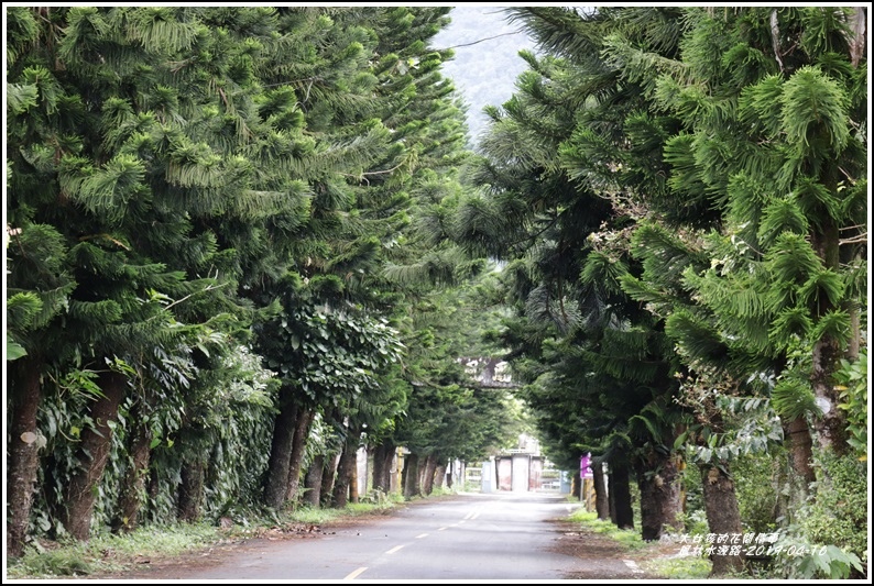 鳳林水源路-2019-04-03.jpg