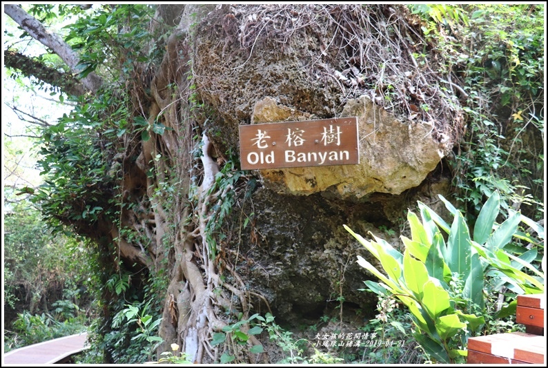 小琉球山豬溝步道-2019-04-21.jpg