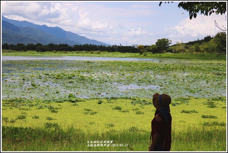 大坡池環湖步道-2019-05-30.jpg