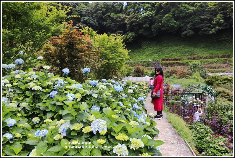 大梯田花卉生態農場-2019-05-4.jpg