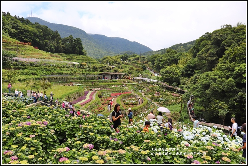 大梯田花卉生態農場-2019-05-8.jpg