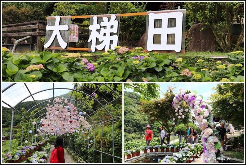 大梯田花卉生態農場-2019-05-13.jpg