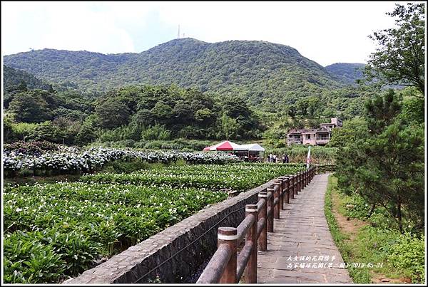 高家繡球花園(第二園)-2019-05-1.jpg