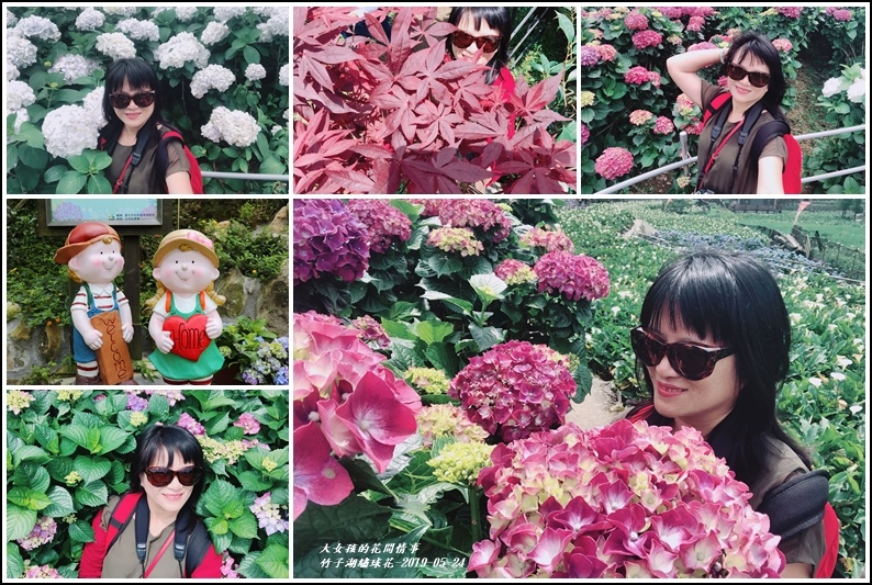 大梯田花卉生態農場-2019-05-16.jpg