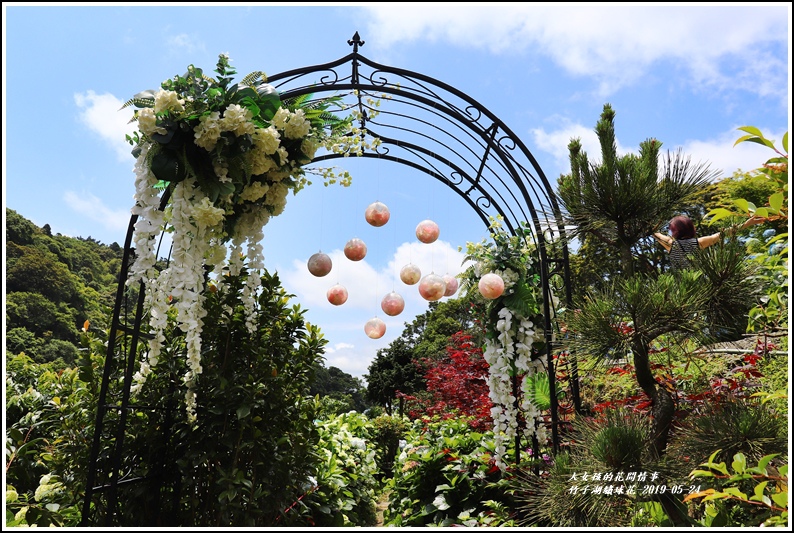 大梯田花卉生態農場-2019-05-17.jpg