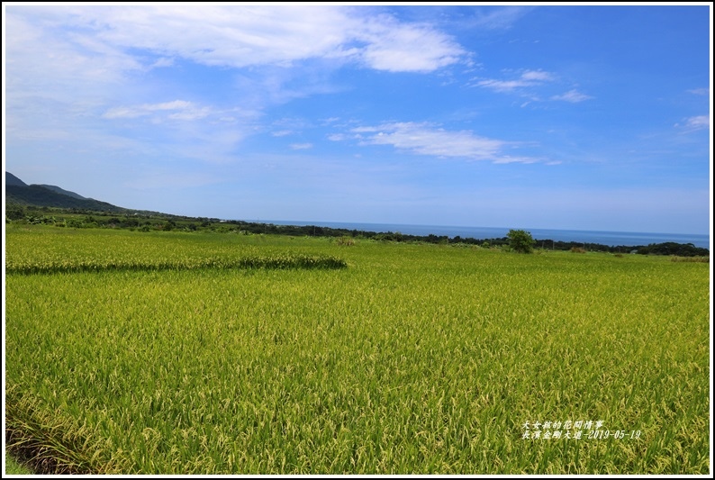 長濱金剛大道-2019-05-06.jpg