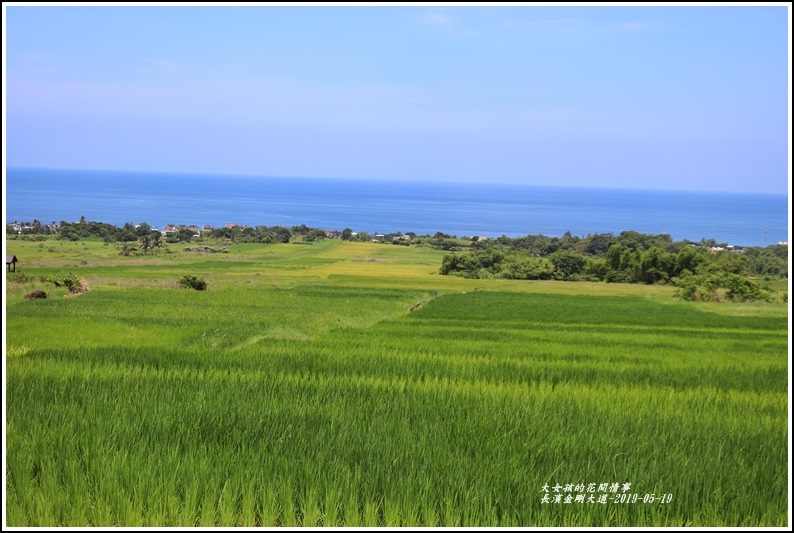 長濱金剛大道-2019-05-08.jpg