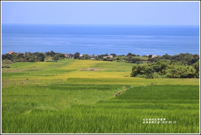 長濱金剛大道-2019-05-21.jpg