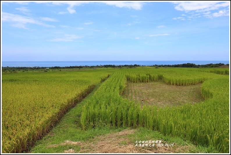 長濱金剛大道-2019-05-24.jpg