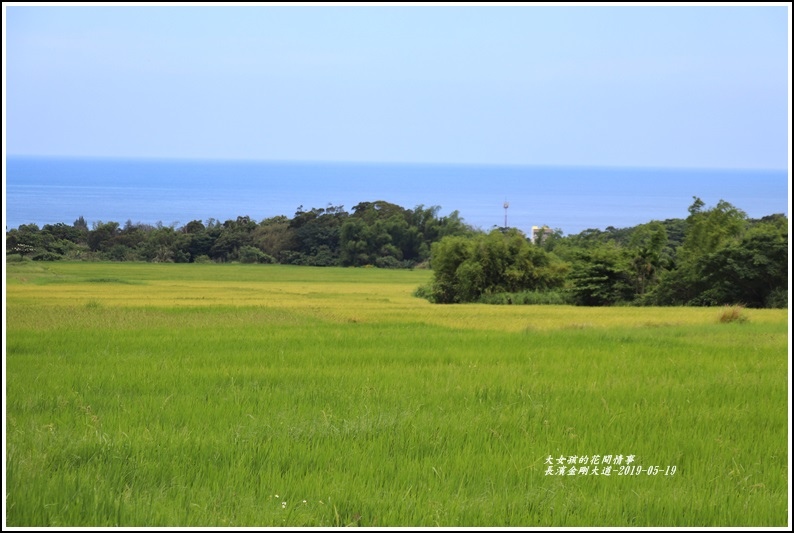 長濱金剛大道-2019-05-28.jpg