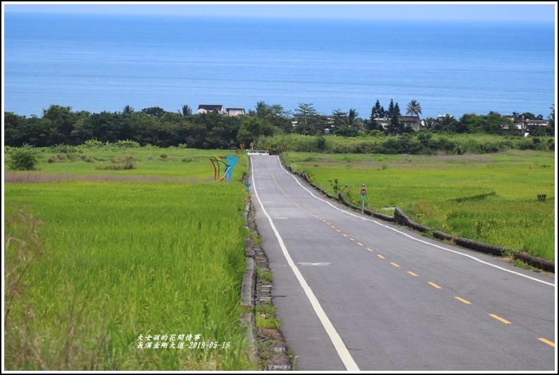 長濱金剛大道-2019-05-29.jpg