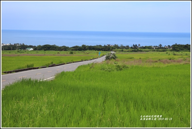 長濱金剛大道-2019-05-30.jpg