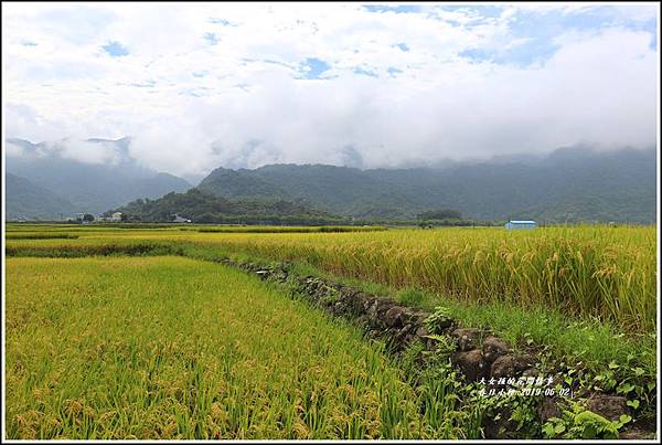 春日稻香情-2019-06-21.jpg