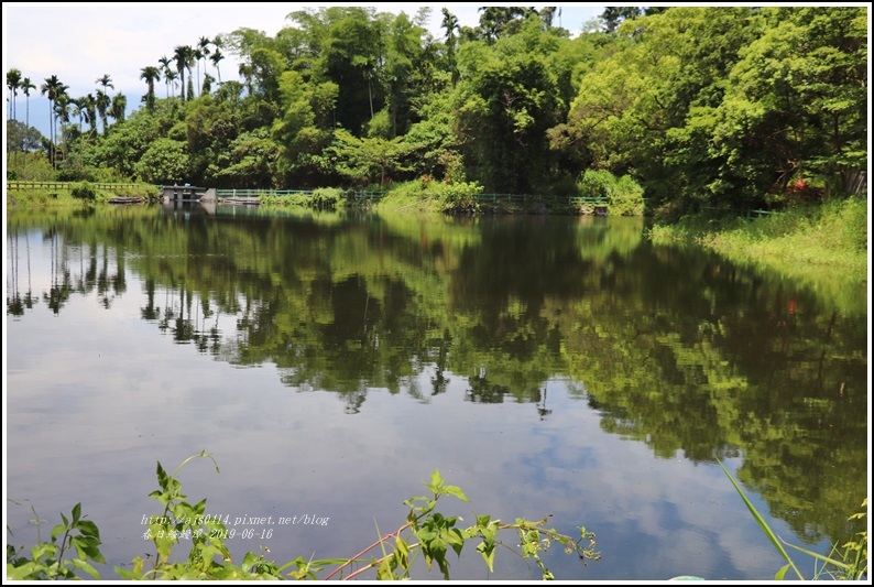 春日鱸鰻潭-2019-06-02.jpg 春日鱸鰻潭-2019-06-02.jpg
