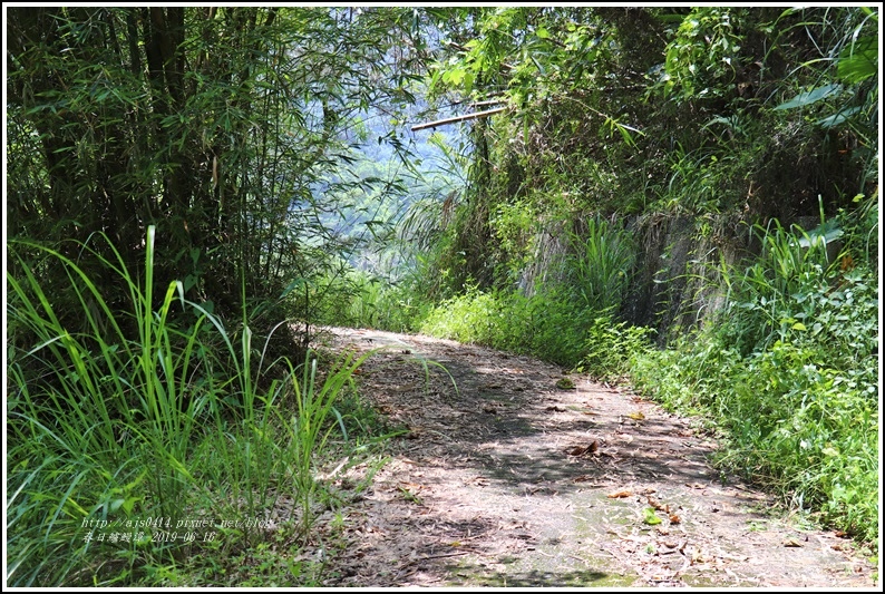 春日鱸鰻潭-2019-06-08.jpg 春日鱸鰻潭-2019-06-08.jpg