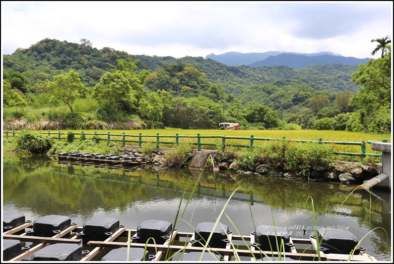 春日鱸鰻潭-2019-06-11.jpg