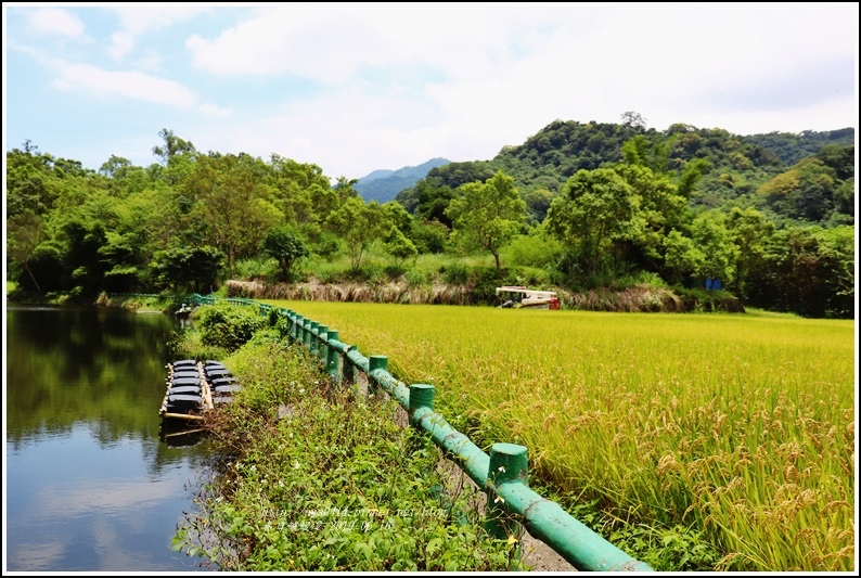 春日鱸鰻潭-2019-06-16.jpg 春日鱸鰻潭-2019-06-16.jpg