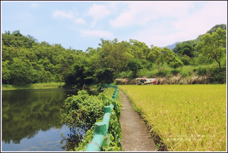 春日鱸鰻潭-2019-06-17.jpg 春日鱸鰻潭-2019-06-17.jpg